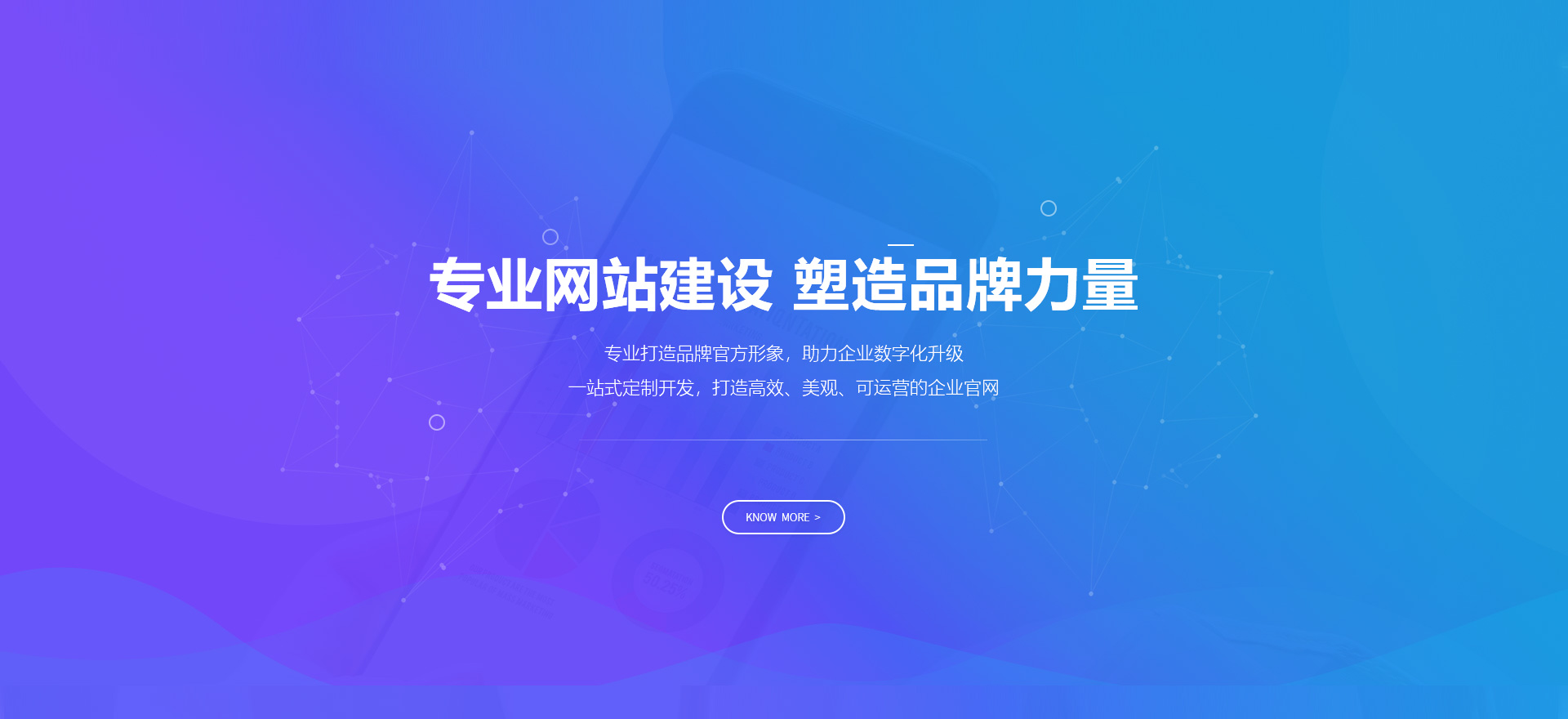 和平建站-专业网站建设 塑造品牌力量