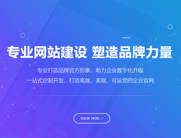 和平建站-专业网站建设 塑造品牌力量